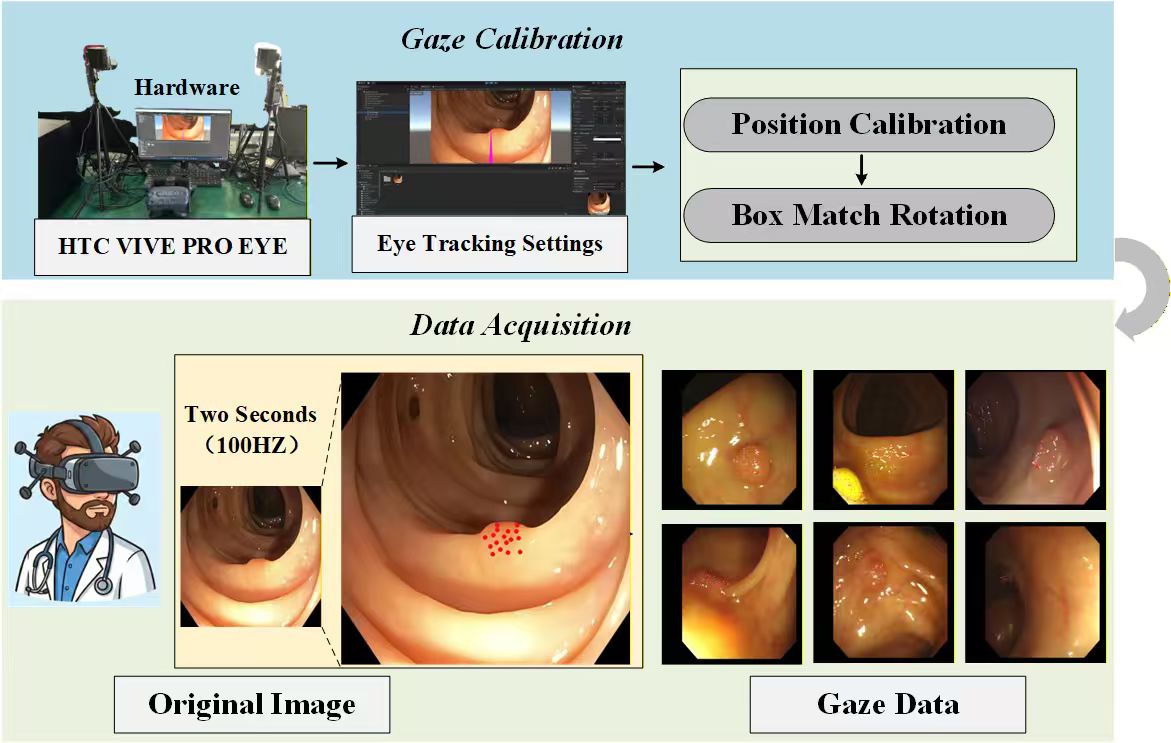 GazeMed | Gaze-Annotated Benchmarks for Weakly Supervised Medical Image ...